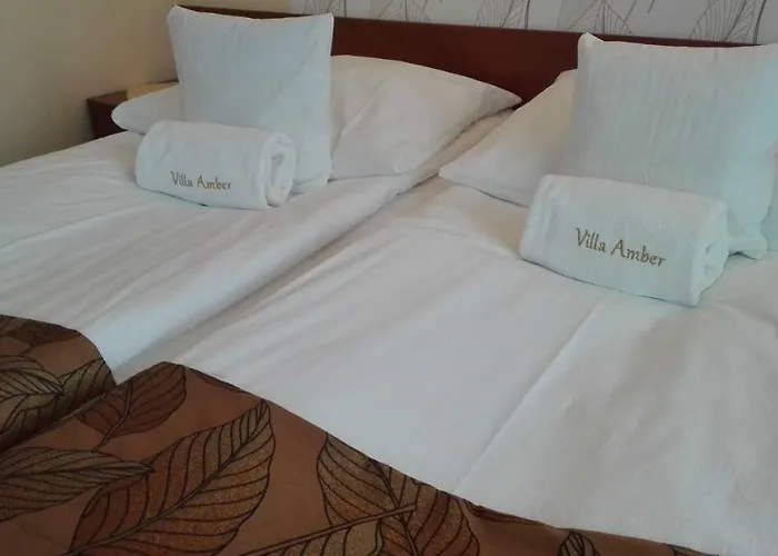 Amber Grzybowo (West Pomeranian)